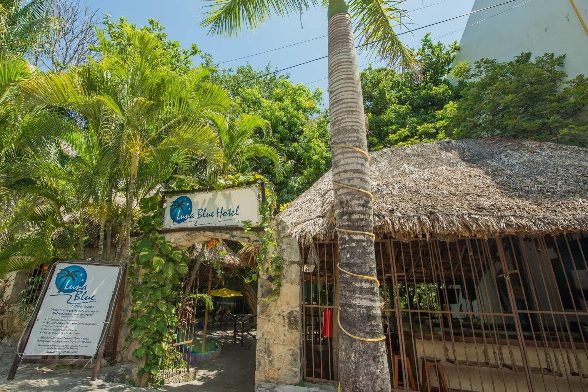 Luna Blue Hotel 신데 델 카르멘 외부 사진